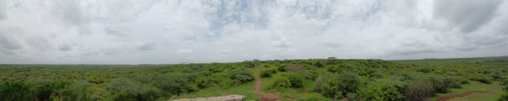 Where Earth Meets the Sky