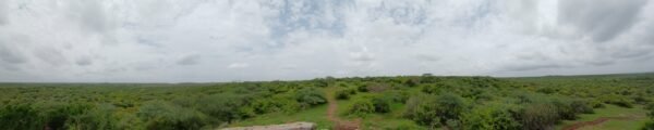 Where Earth Meets the Sky